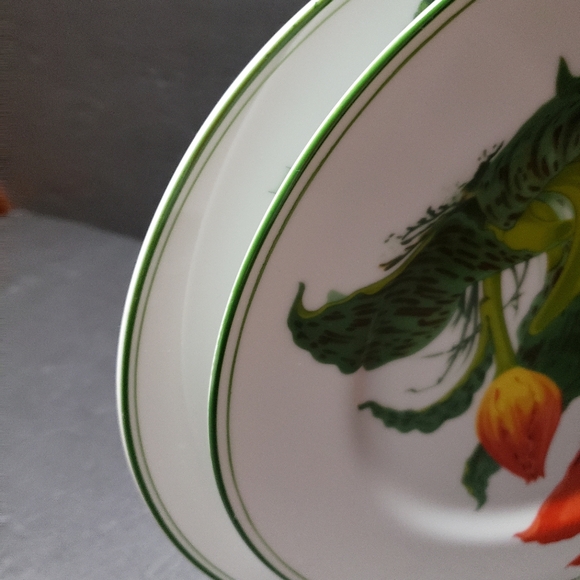 Vintage 1983 Set Of 2 THE HALDON GROUP *Millefleur* Dinner Plates REPLACEMENT - Picture 5 of 7